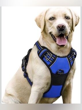 rabbitgoo Dog Harness No Pull with 2 Leash Clips, Adjustable Soft Padded